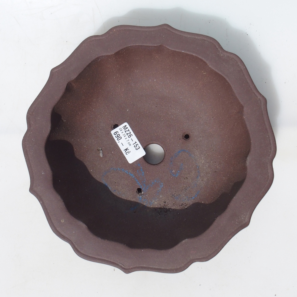 Bonsaischale 24 x 24 x 7 cm Birke braun