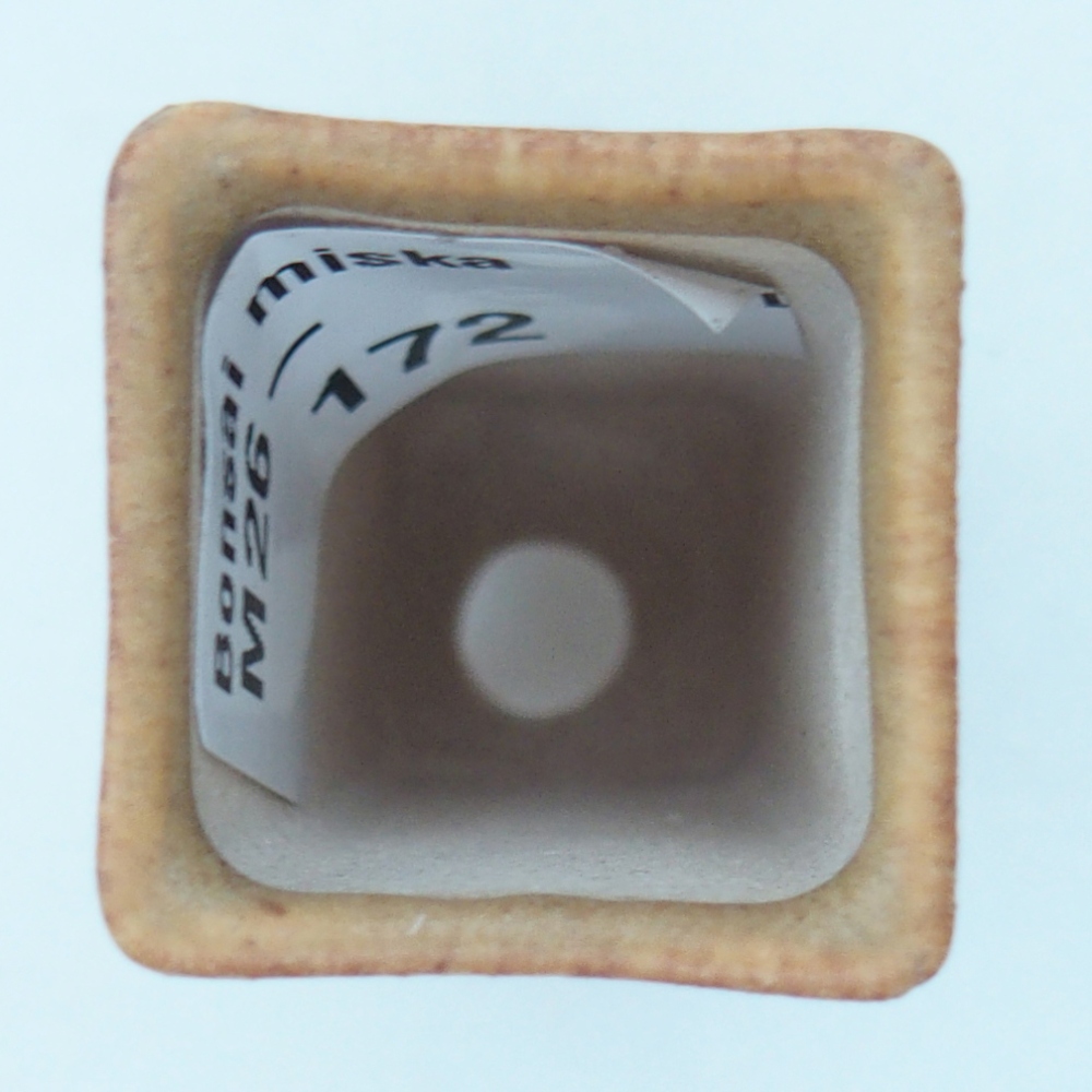 Mini-Bonsaischale 2 x 2 x 5 cm, braun