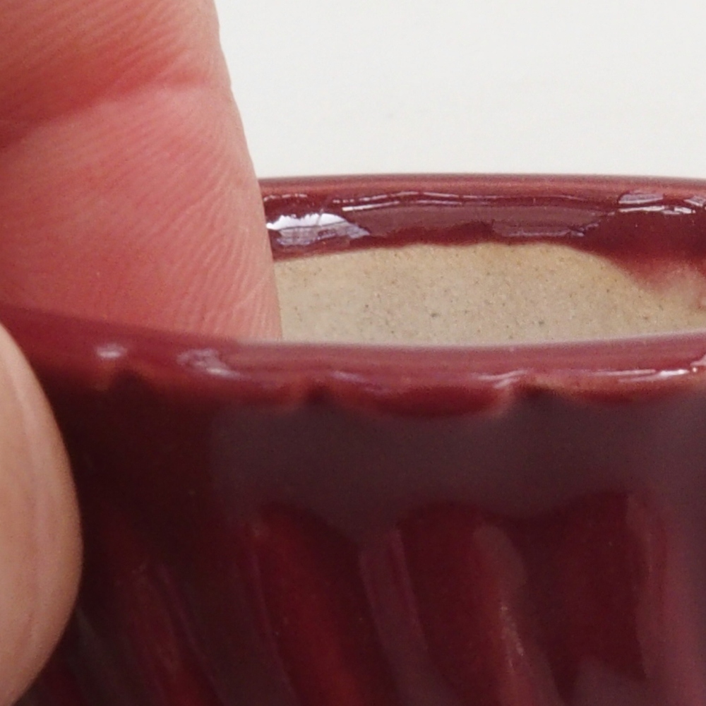 Mini-Bonsaischale 5 x 5 x 2,5 cm, Farbe Burgunder