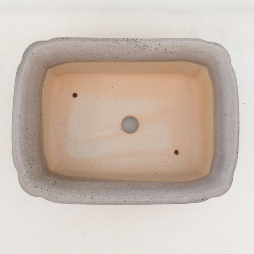 Bonsai-Untertasse H50 – 17 x 12,5 x 5,5 cm – beige