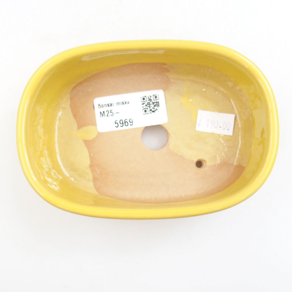 Keramik-Bonsaischale 13 x 9 x 4 cm, Farbe gelb
