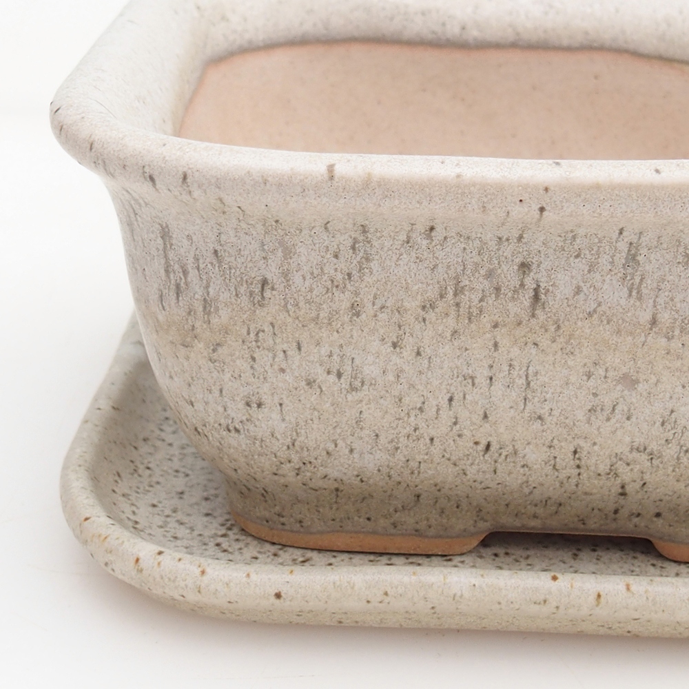Bonsaischale + Untertasse H38 - 12 x 10,5 x 5 cm - beige