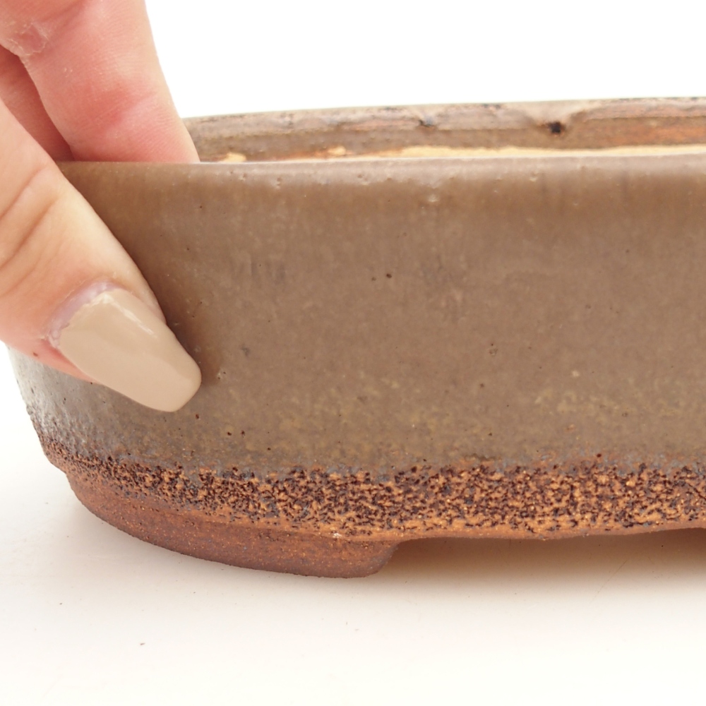 Bonsaischale 19,5 x 16 x 6 cm , Farbe braun