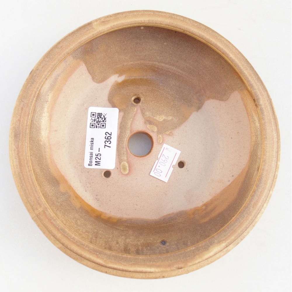 Bonsaischale aus Keramik 16 x 16 x 5 cm, Farbe beige