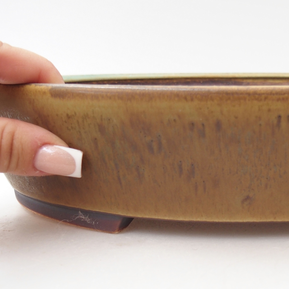 Bonsaischale aus Keramik 28,5 x 25 x 6 cm, grün