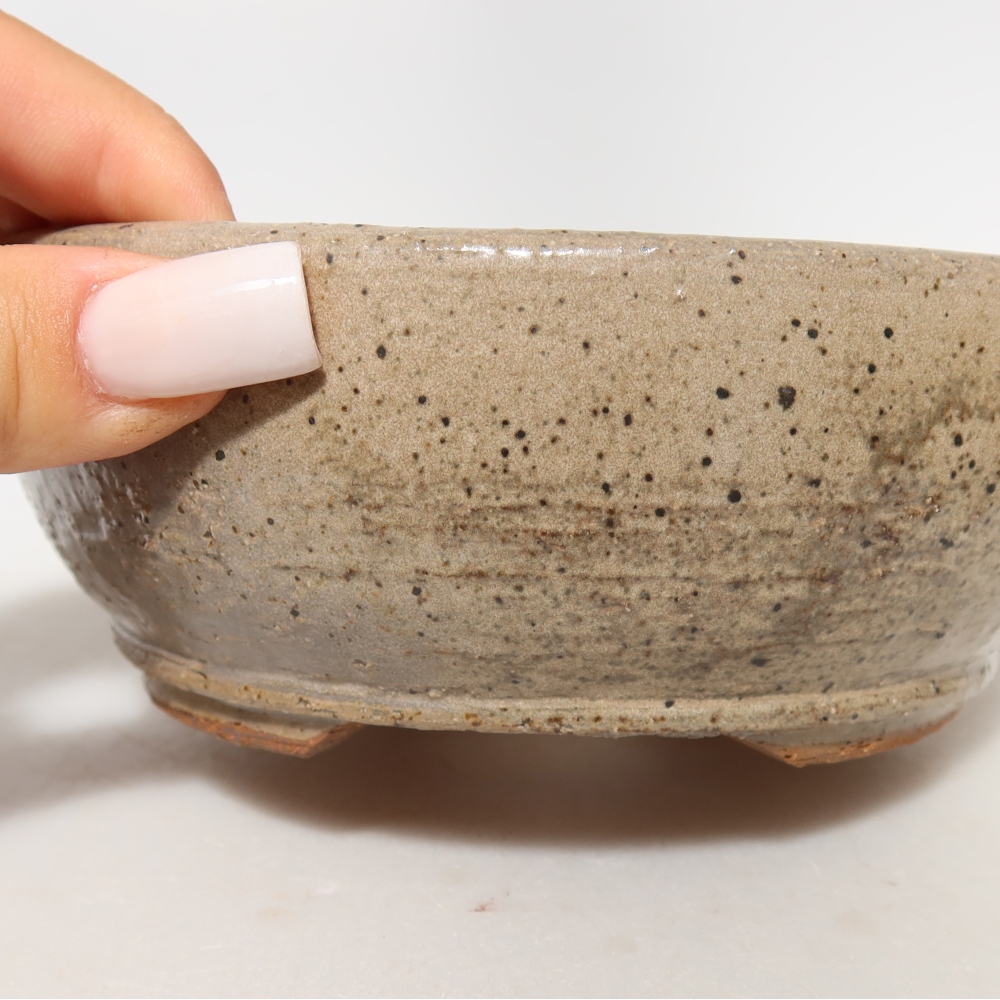 Keramik-Bonsai-Schale, 14 x 14 x 5,5 cm, Farbe: Beige