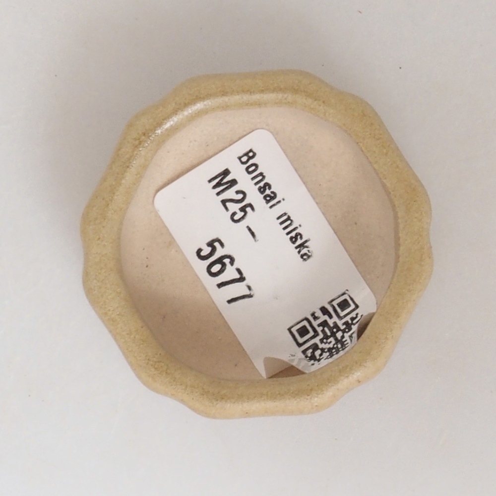 Mini-Bonsaischale 4,5 x 4,5 x 2  cm, Farbe braun