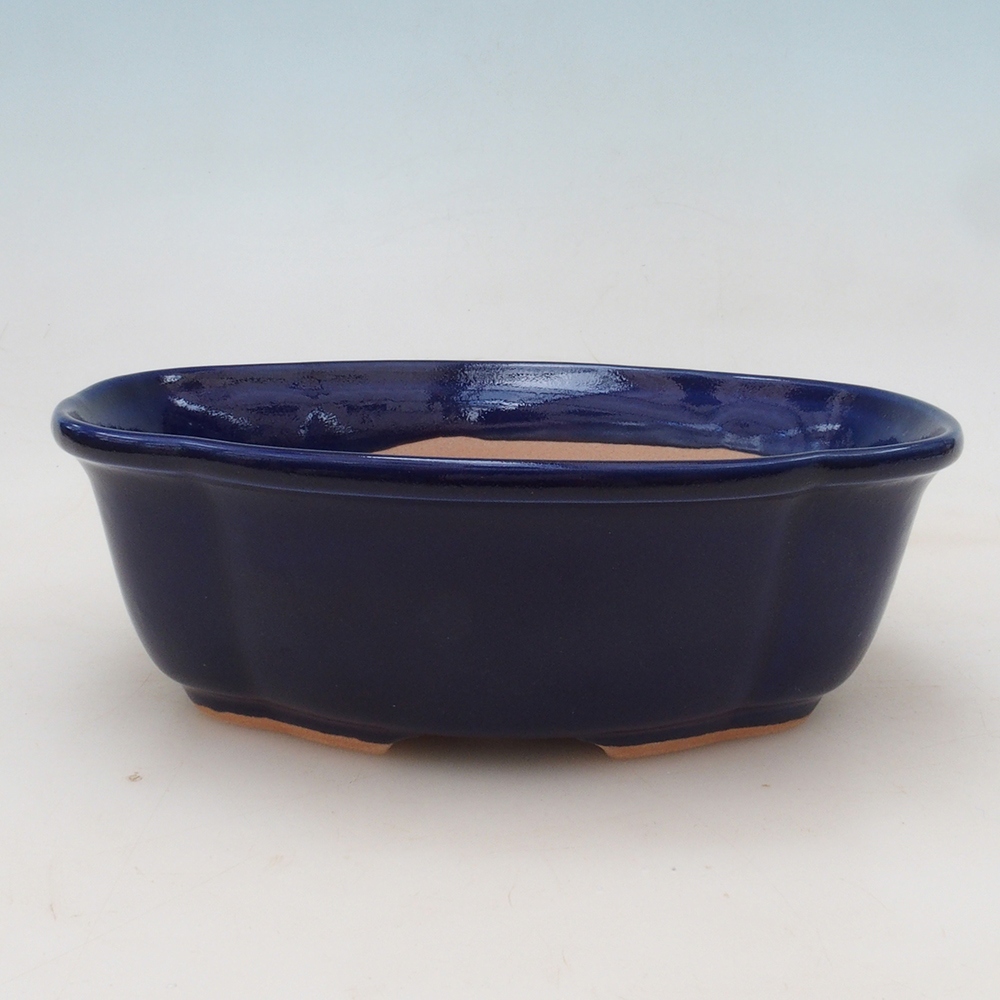 Bonsai-Schale + Untertasse H75 – Blau