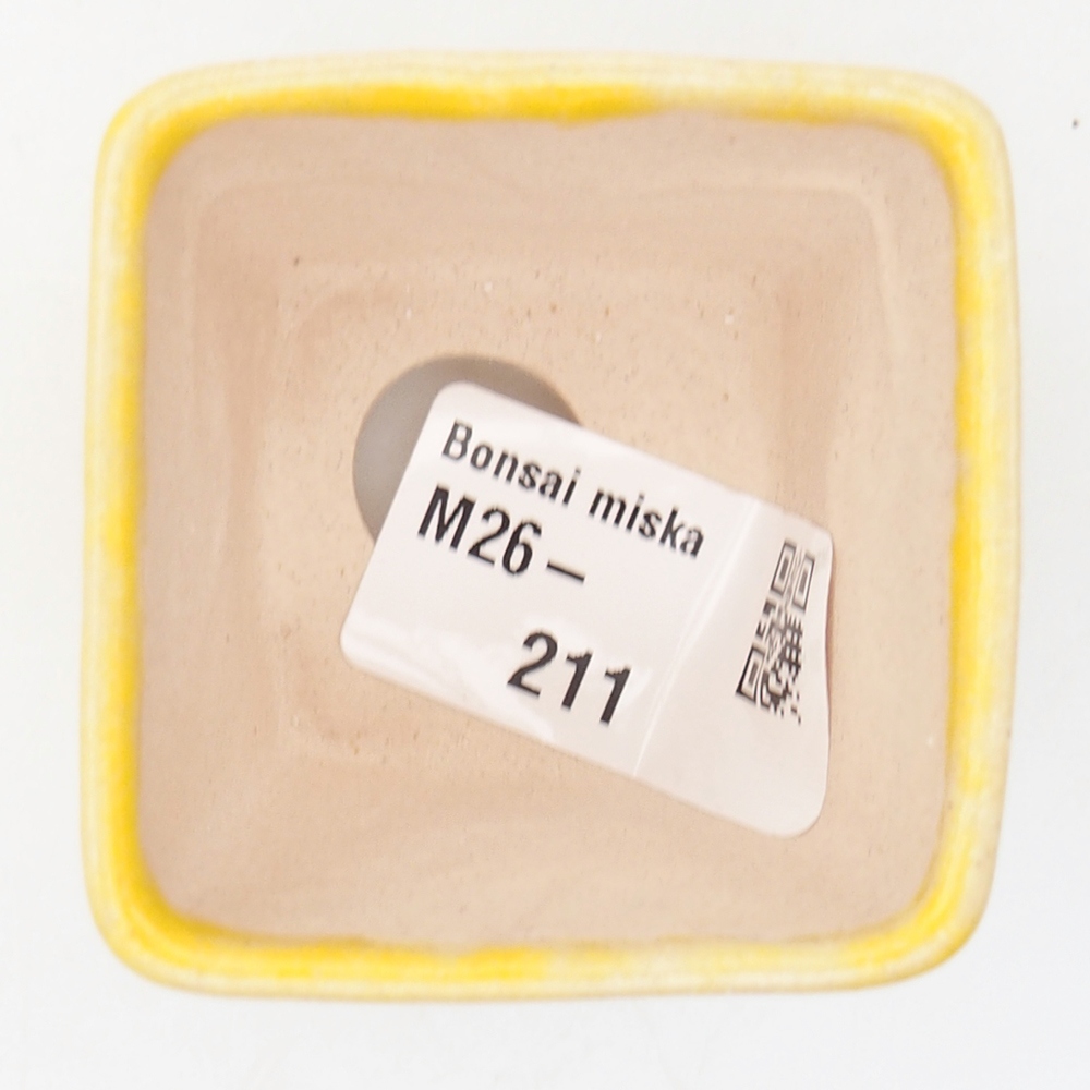 Mini-Bonsaischale 5 x 5 x 5 cm, gelb