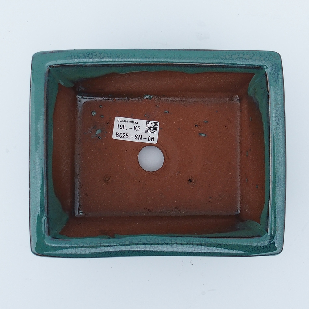 Schale 20 x 16,5 x 8 cm grün