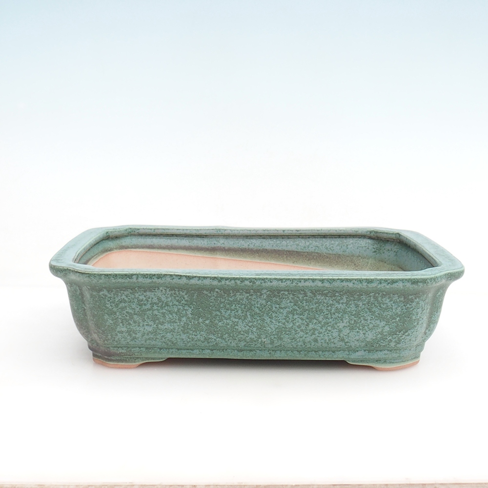 Bonsaischale + Untertasse H20 - 26,5 x 21,5 x 6,5 cm - grün