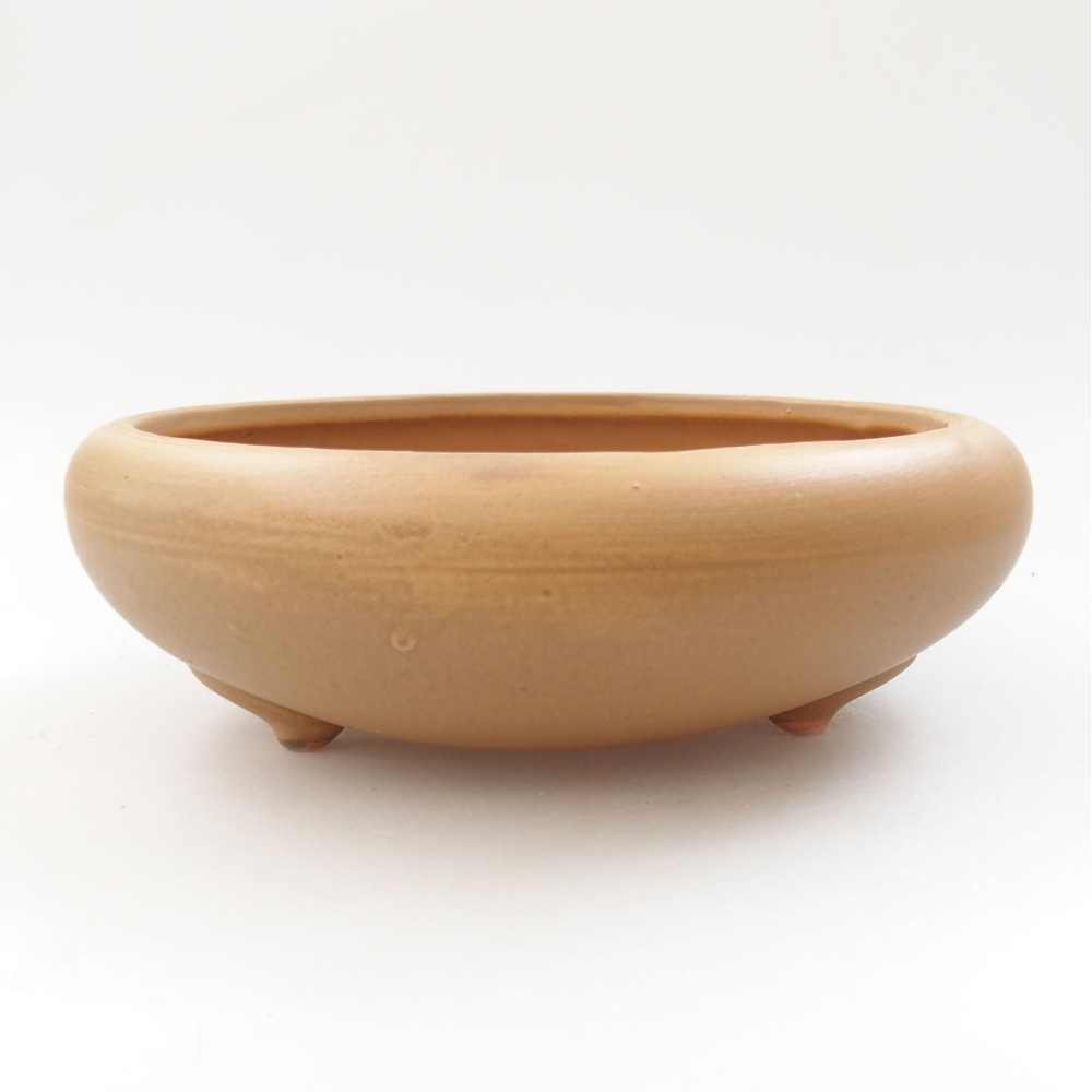 Keramik-Bonsaischale 21 x 21 x 7,5 cm, Farbe beige