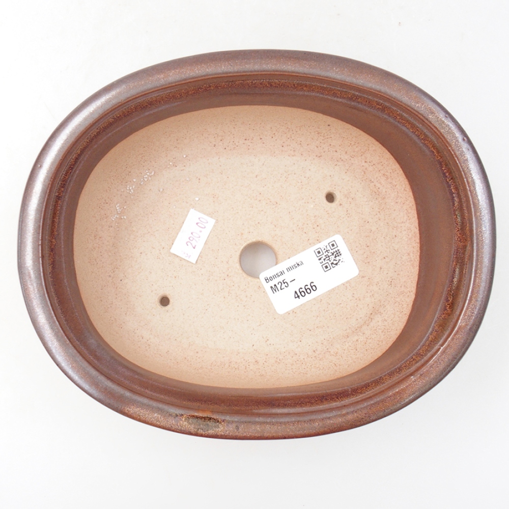 Keramik-Bonsaischale 18 x 14,5 x 6 cm, Farbe braun