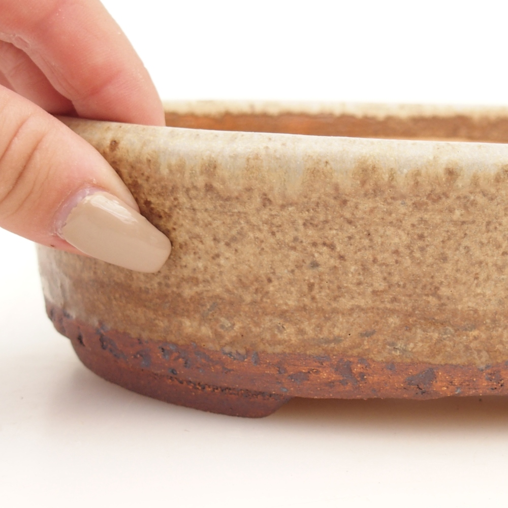 Bonsaischale 19 x 15,5 x 5,5 cm , Farbe beige