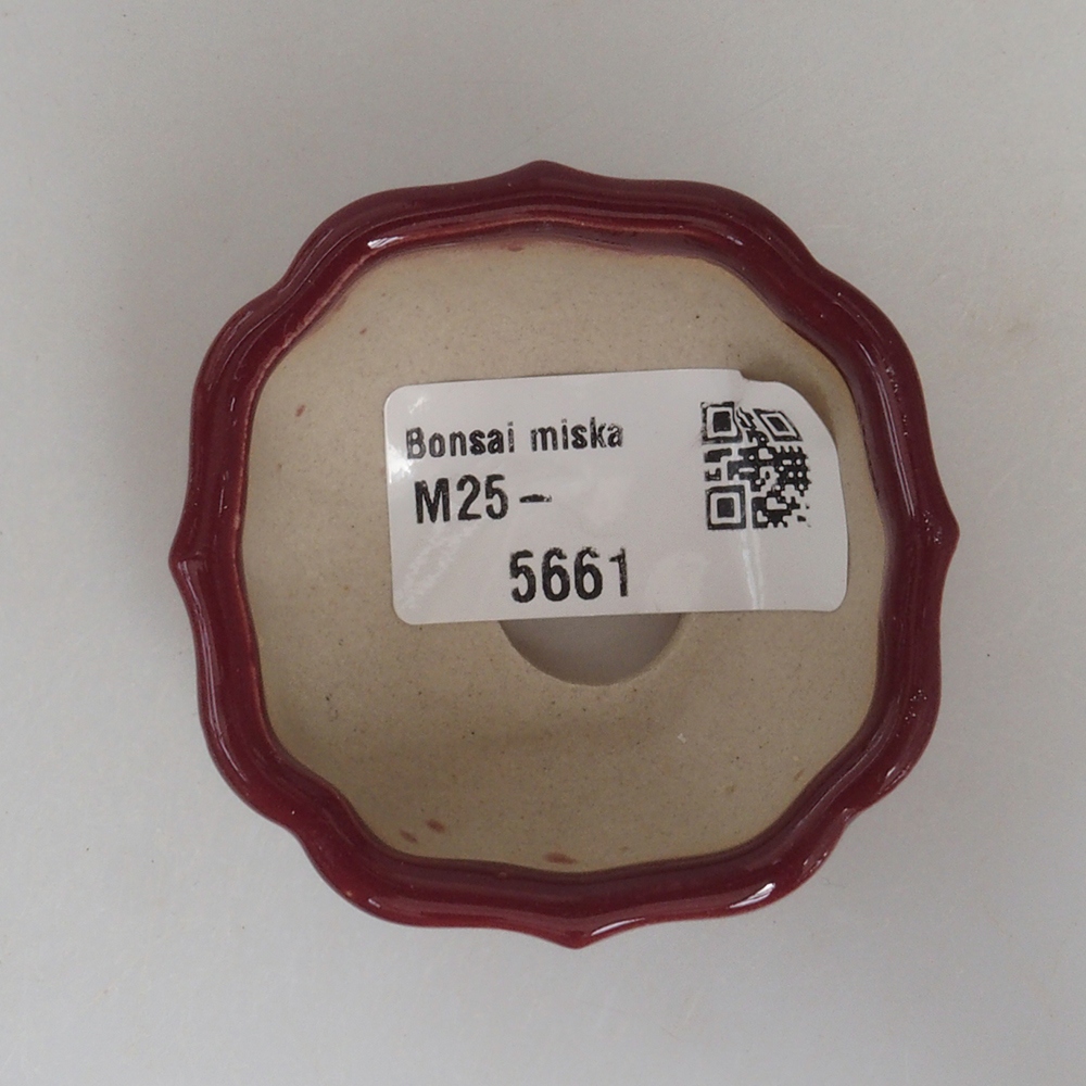 Mini-Bonsaischale 5,5 x 5,5 x 2,5 cm, Farbe Burgunder