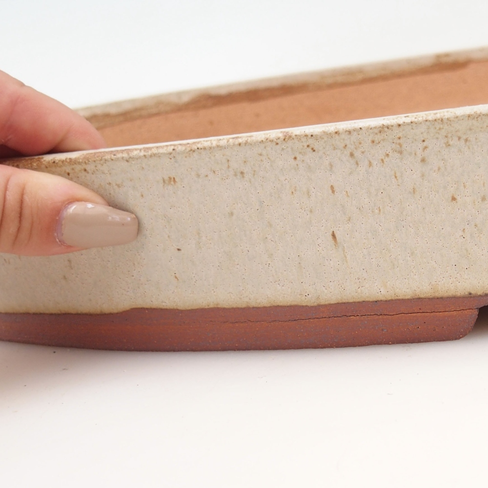Bonsaischale 48 x 31 x 5 cm , Farbe beige - NUR PERSÖNLICHE ABHOLUNG ODER PALLETTENVERKEHR