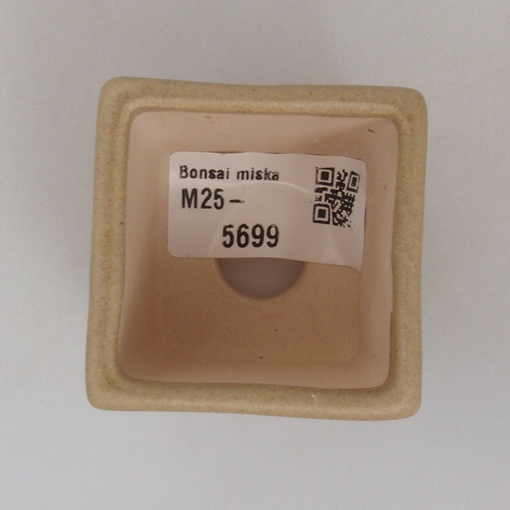 Mini-Bonsaischale 5 x 5 x 5  cm, Farbe braun