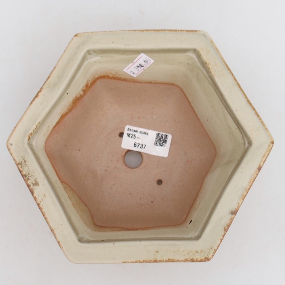 Bonsaischale aus Keramik 18,5 x 16,5 x 9 cm, grün