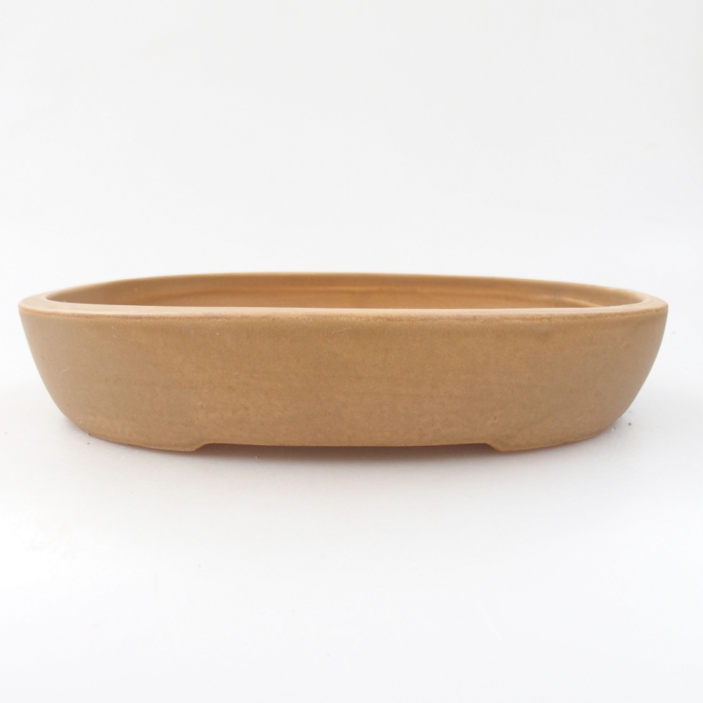 Keramik-Bonsaischale 22 x 16,5 x 4 cm, Farbe beige