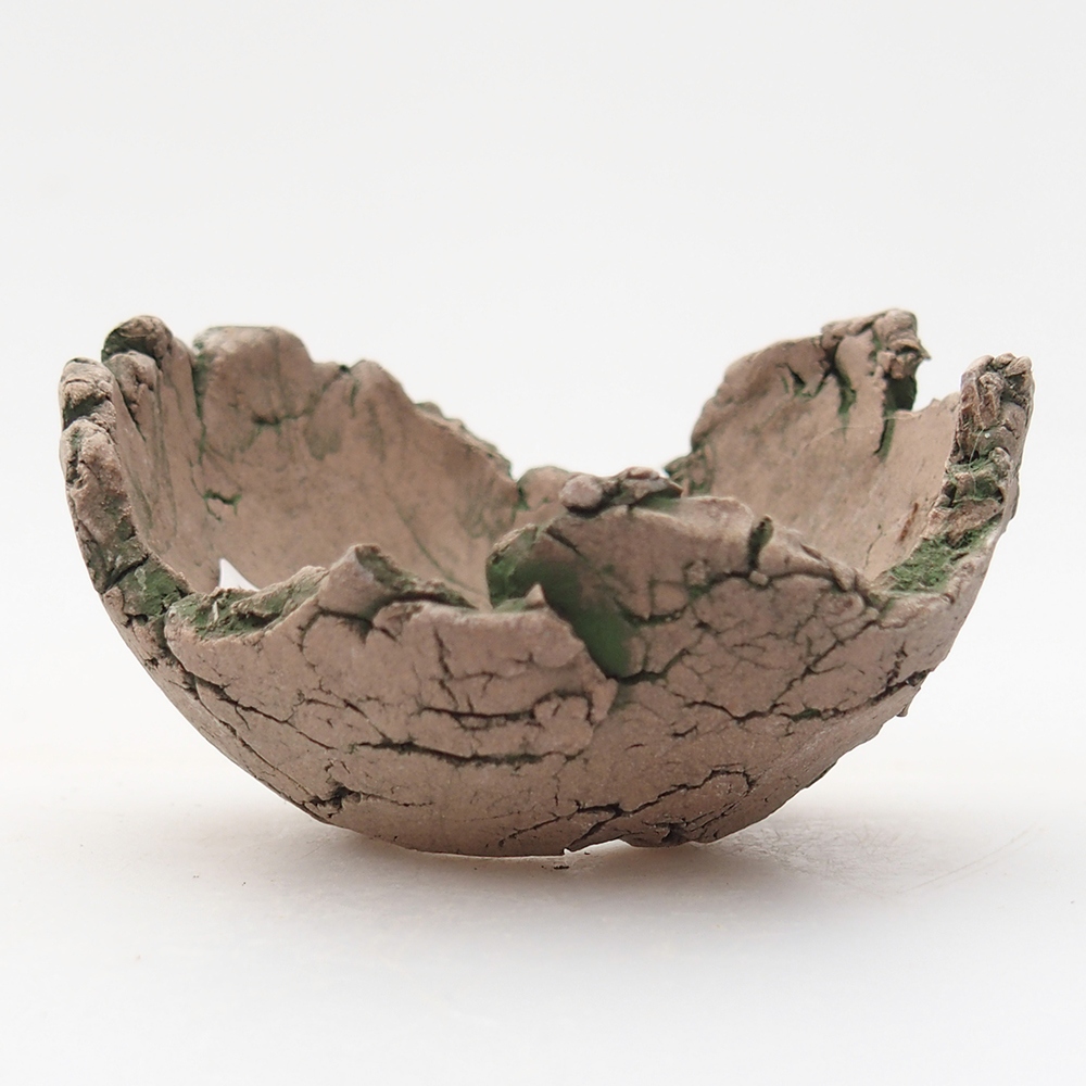 Keramische Muschel 7 x 7 x 4 cm , Farbe grün
