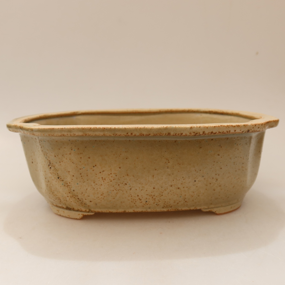 Bonsaischale aus Keramik 22,5 x 17,5 x 7,5 cm, Farbe beige