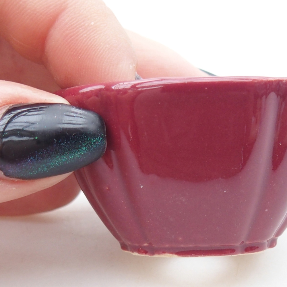 Mini-Bonsaischale 4,5 x 4,5 x 2,5 cm, bordeauxrot