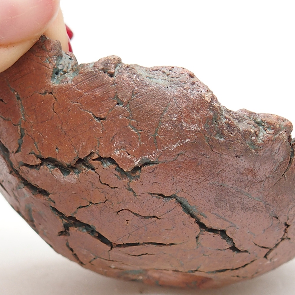 Keramische Muschel 10 x 8 x 6 cm, Farbe grün