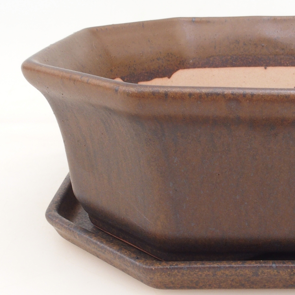 Bonsai-Schale + Schale H14 - braun