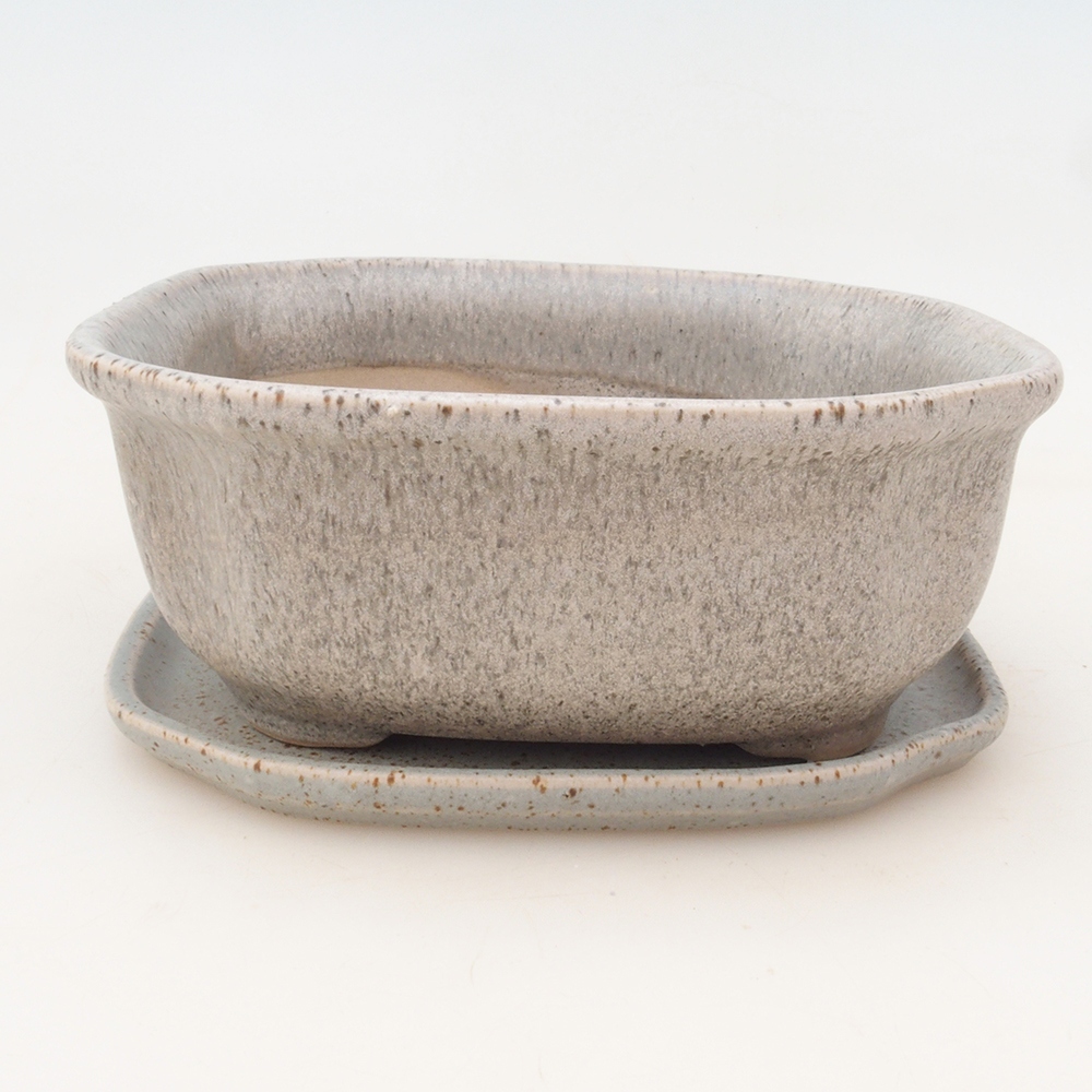 Bonsai-Schale + Untertasse H31 – 14 x 12 x 6,5 cm
