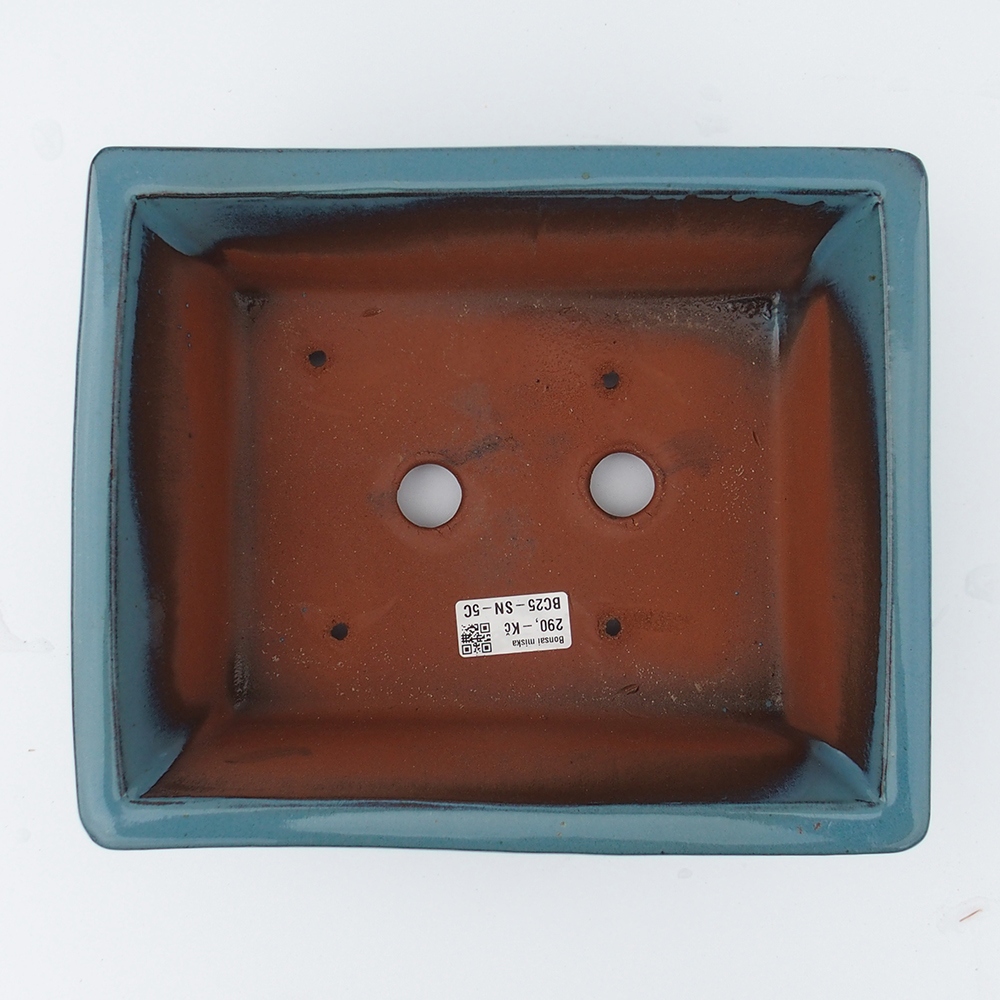 Schale 26 x 21,5 x 10 cm blau