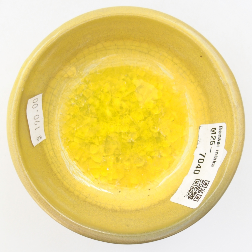 Bonsaischale aus Keramik 9,5 x 9,5 x 5 cm, gelb