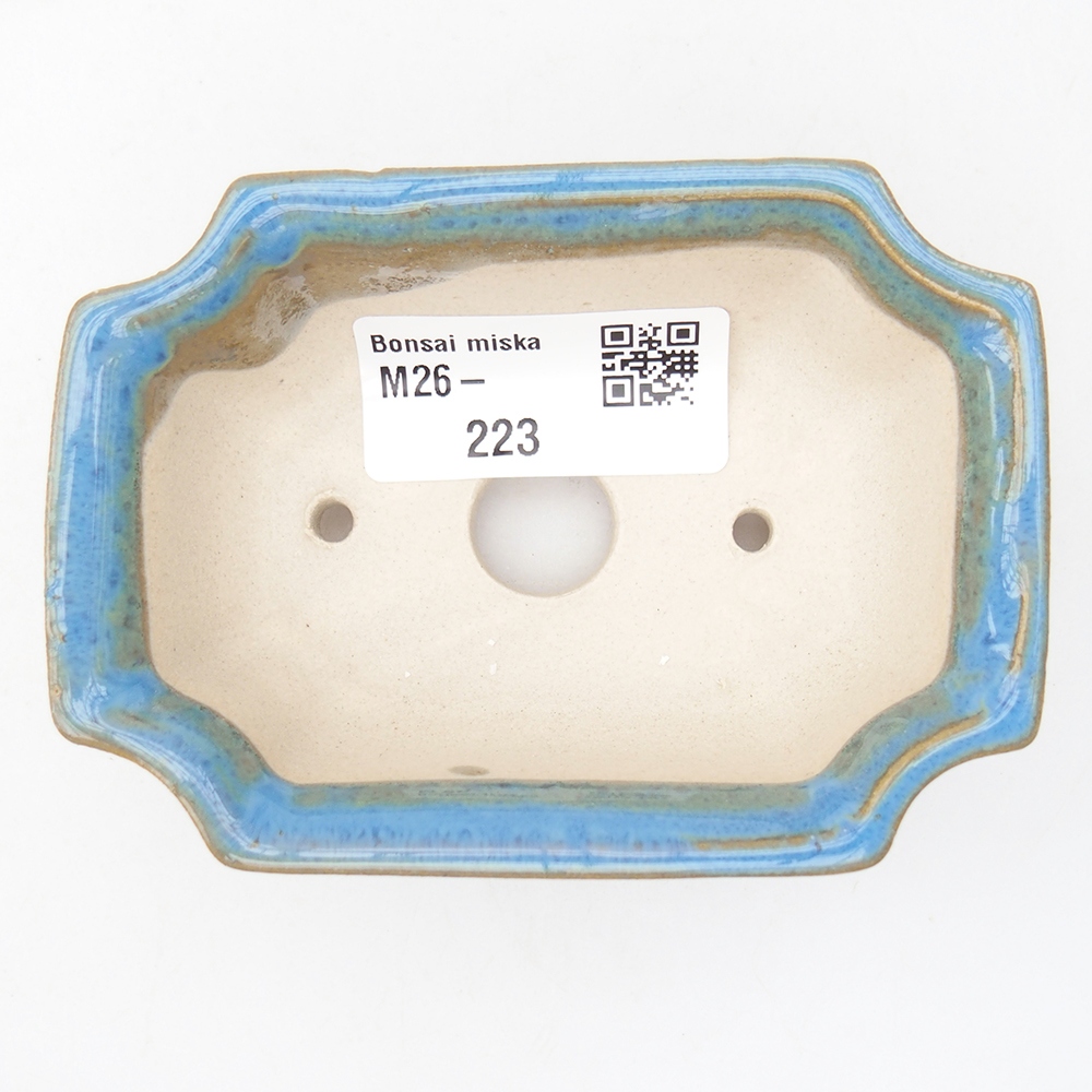 Mini-Bonsaischale 9 x 6,5 x 3,5 cm, Farbe blau