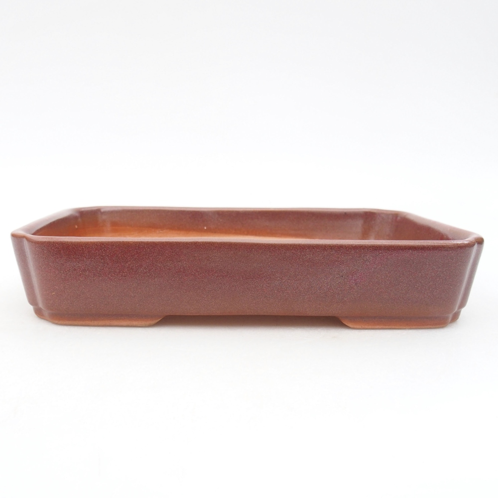 Keramik-Bonsaischale 18 x 13 x 3 cm, Farbe Burgunder