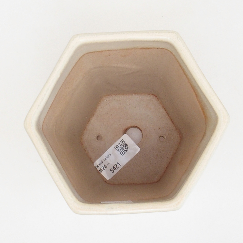 Keramik-Bonsaischale 12,5 x 11,5 x 16,5 cm, Farbe Beige