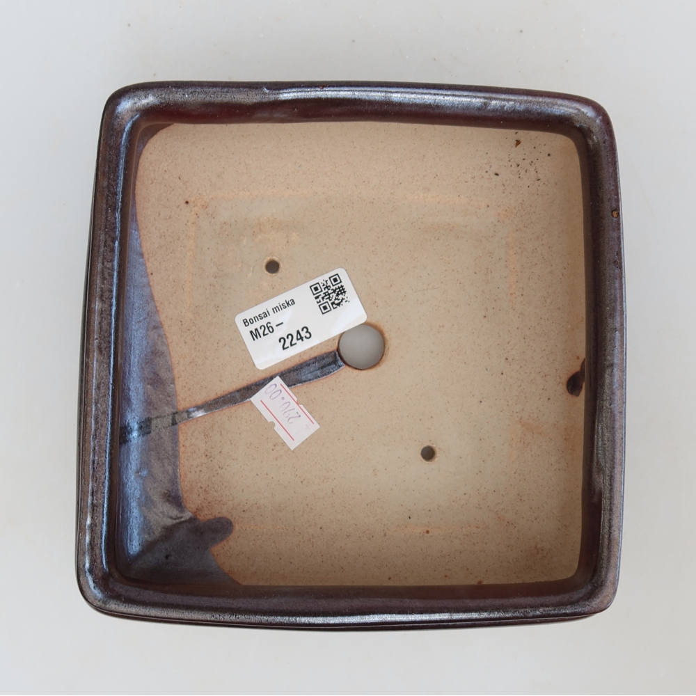 Bonsaischale aus Keramik 15,5 x 15,5 x 6 cm, braun