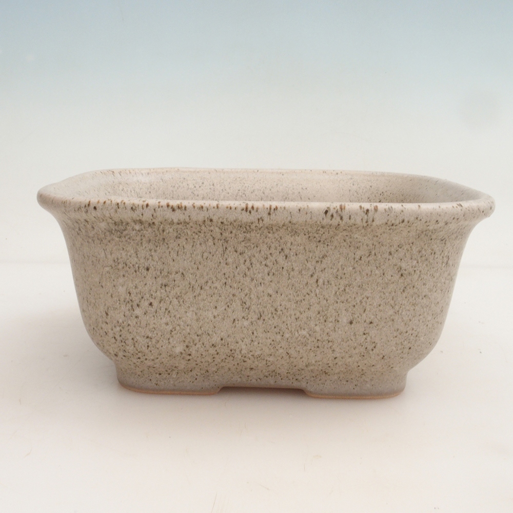 Bonsai-Schale H36 – 17 x 15 x 7,5 cm – Beige