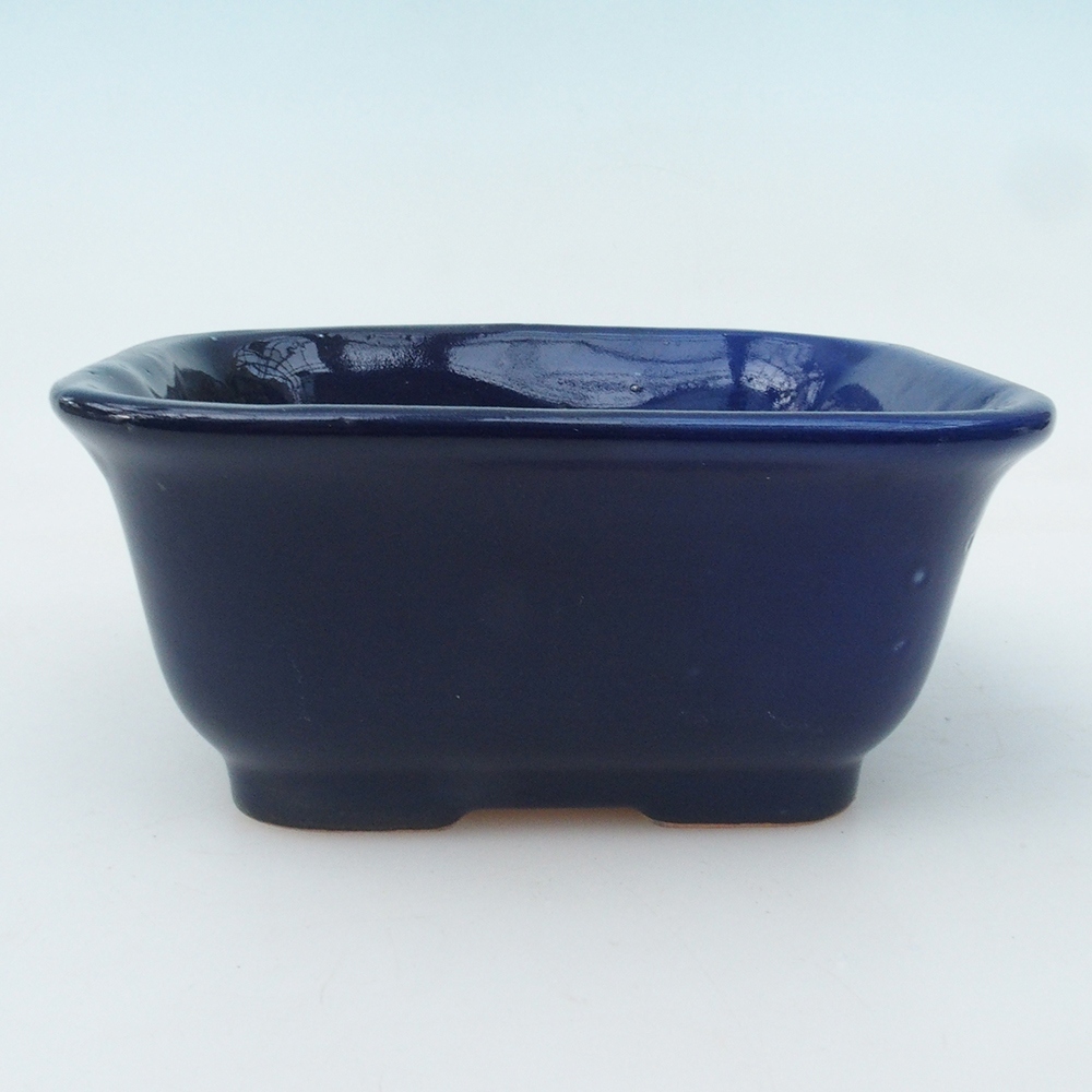 Bonsai-Schale + Untertasse H01 – 12 x 9 x 5 cm
