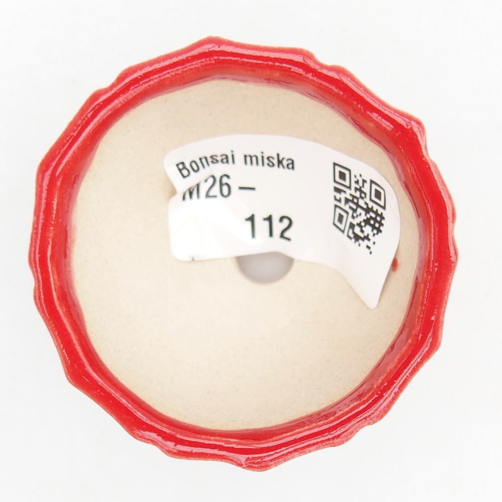 Mini-Bonsaischale 5,5 x 5,5 x 3,5 cm, Farbe rot