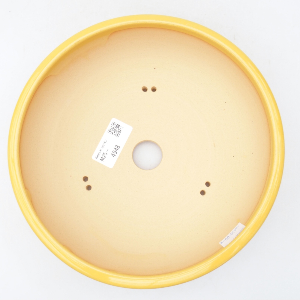 Keramik-Bonsaischale 20,5 x 20,5 x 6 cm, Farbe Gelb