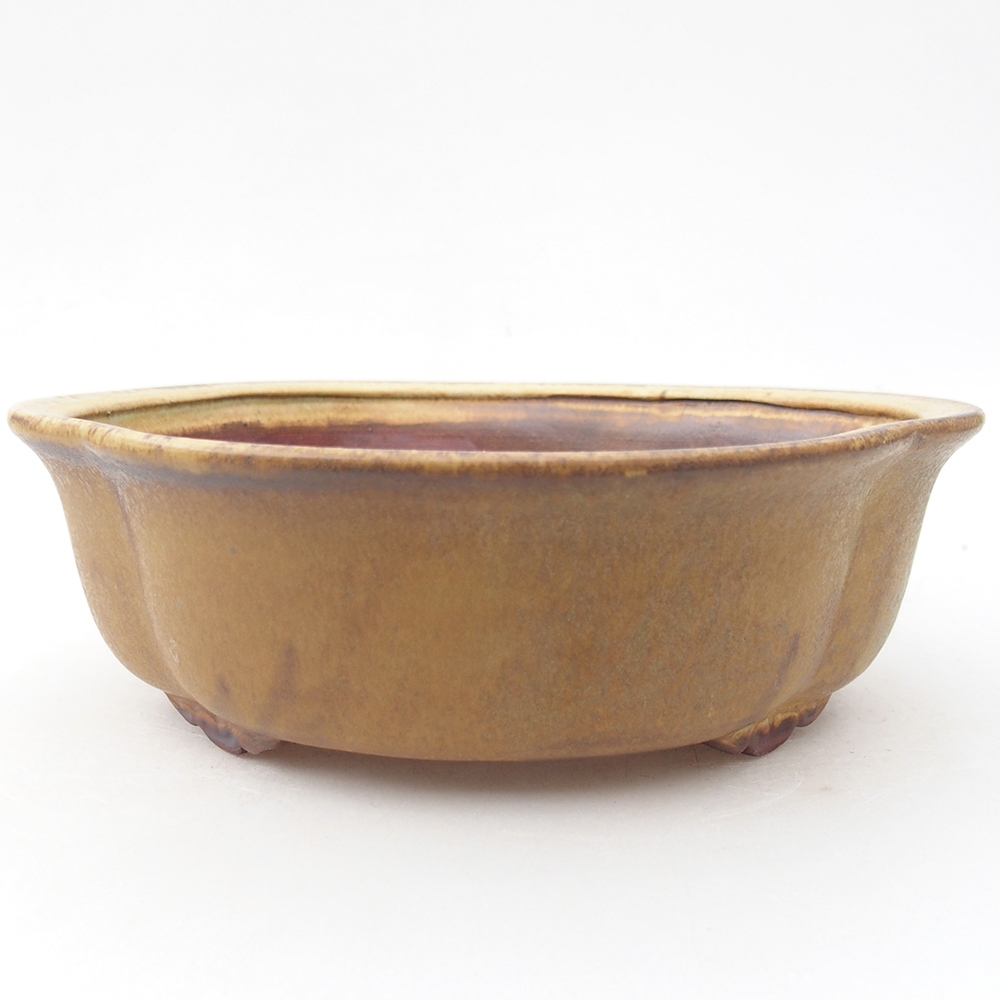 Keramik-Bonsaischale 19 x 17 x 6 cm, Farbe Grün