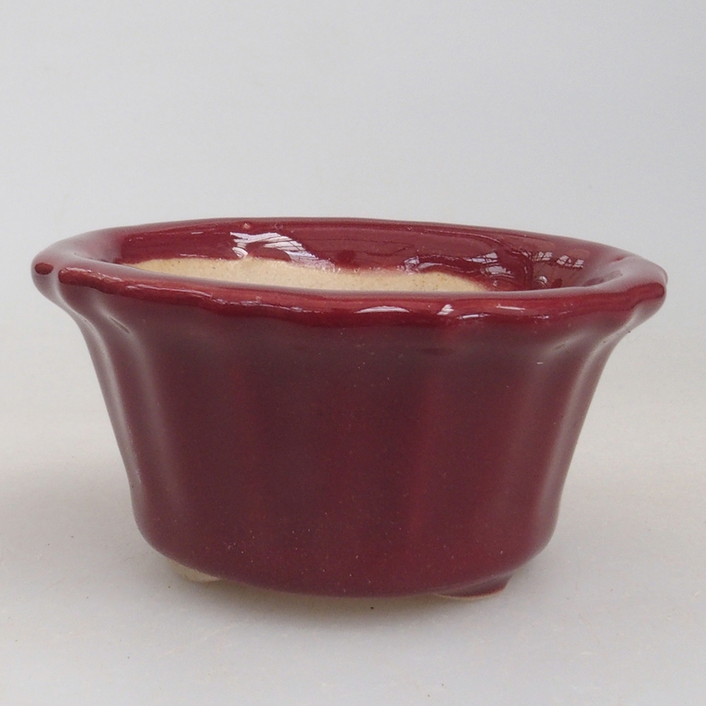 Mini-Bonsaischale 5 x 5 x 2,5 cm, Farbe Burgunder