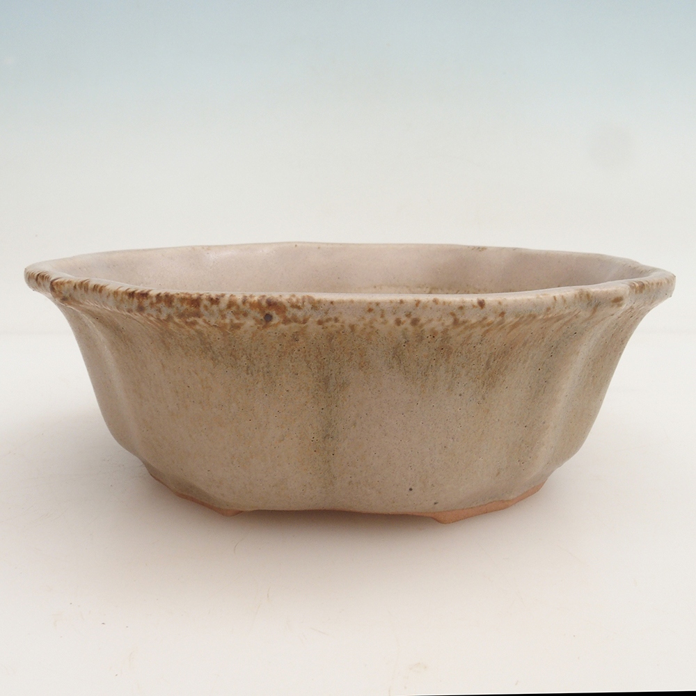 Bonsai-Schale + Untertasse H06 – 14,5 x 14,5 x 5 cm – beige