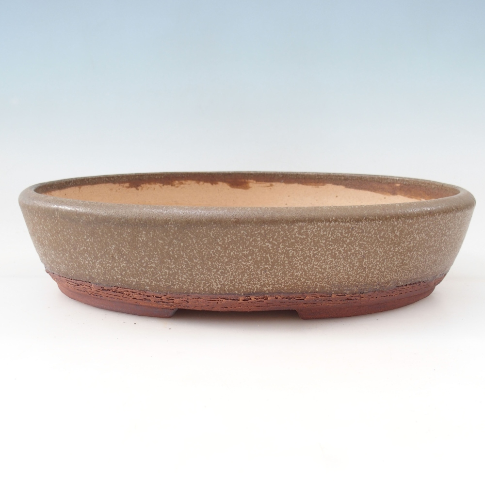 Bonsaischale 33 x 24,5 x 7,5 cm , Farbe braun