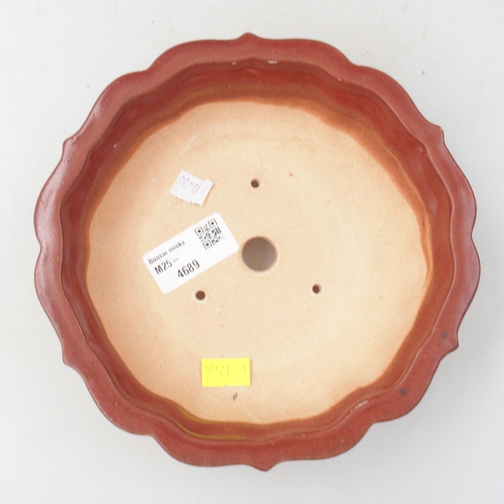 Keramik-Bonsaischale 18 x 18 x 5 cm, Farbe Rosa