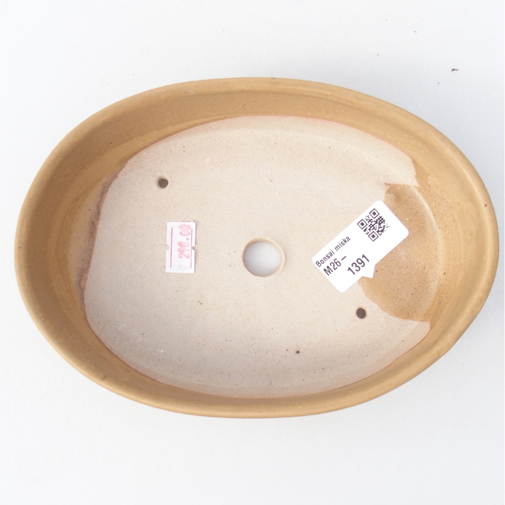 Bonsaischale aus Keramik 18,5 x 13,5 x 4,5 cm, Farbe beige