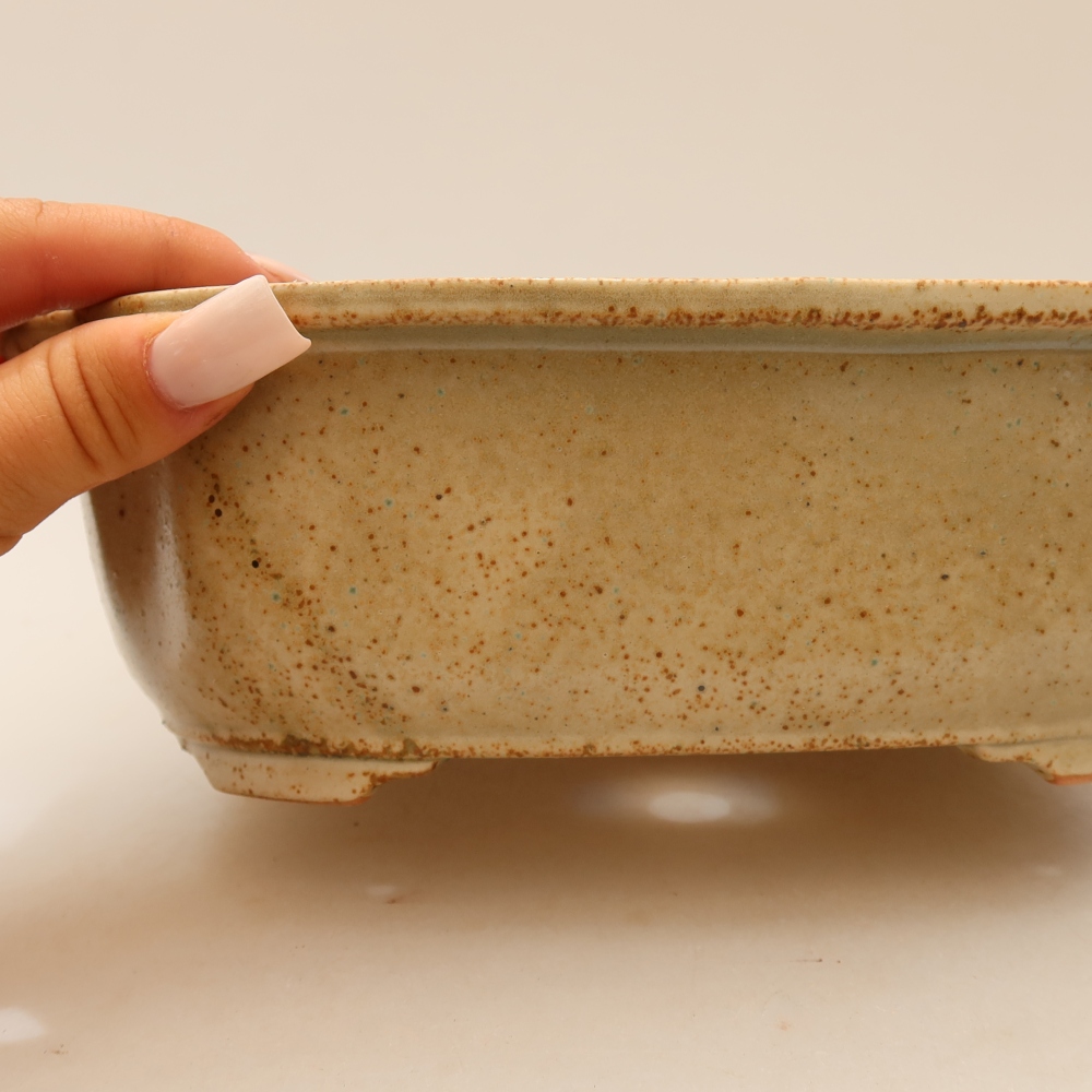 Bonsaischale aus Keramik 22,5 x 17,5 x 7,5 cm, Farbe beige