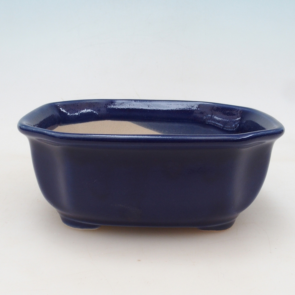 Bonsai-Schale + Untertasse H32 – Blau