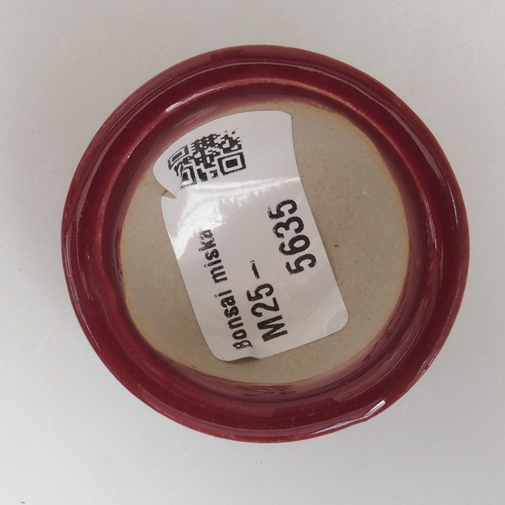 Mini-Bonsaischale 4,5 x 4,5 x 2,5 cm, Farbe Burgunder