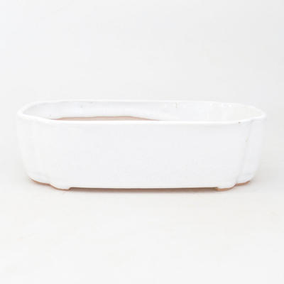Keramische Bonsai-Schale 18 x 13,5 x 5 cm, Farbe weiß - 1