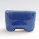 Mini Bonsai Schüssel 3 x 3 x 2,5 cm, Farbe blau - 1/3